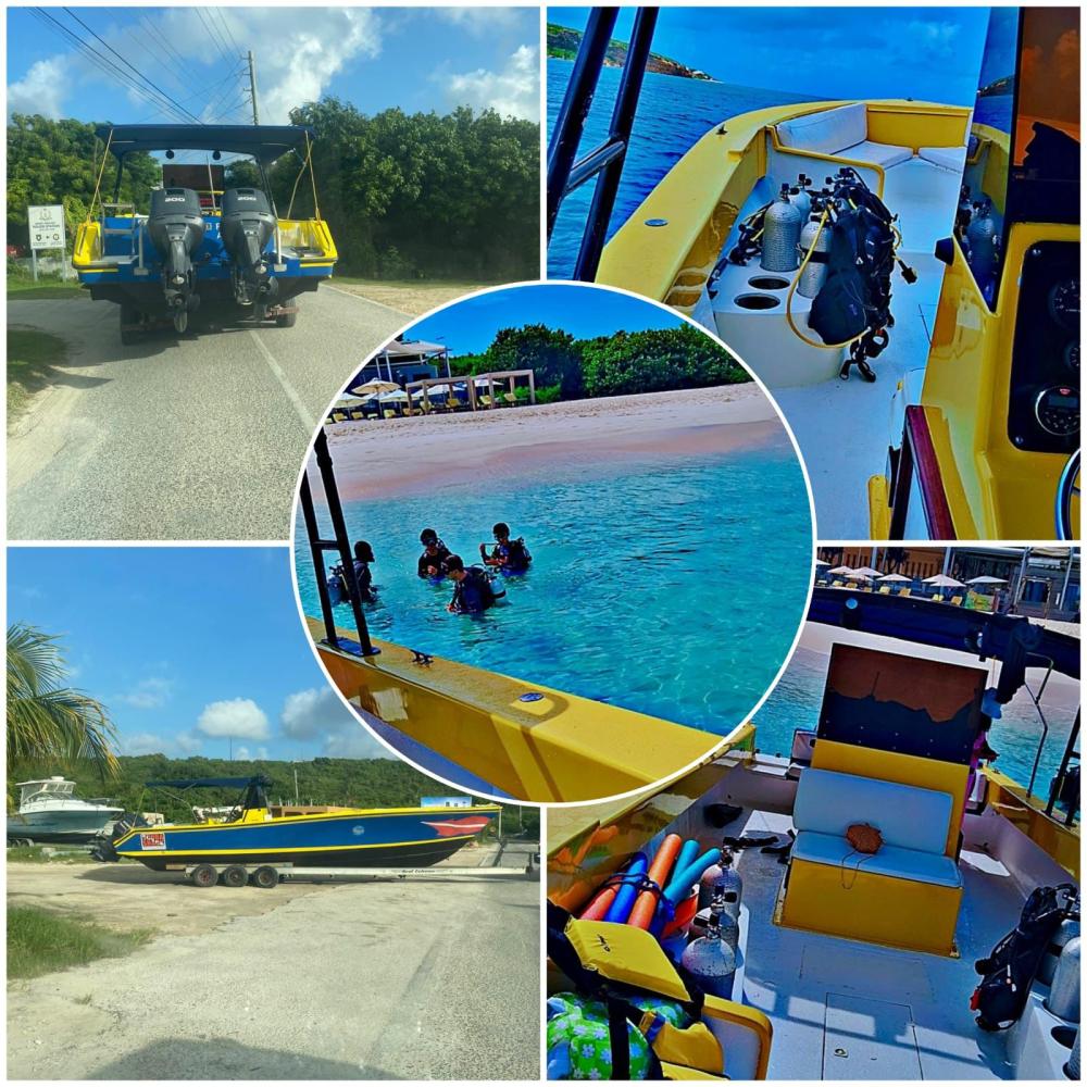 The Lady Lou is back in action