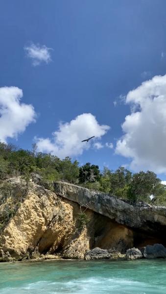 The shoreline of Anguilla sits along the ocean view while a pelican flies above.