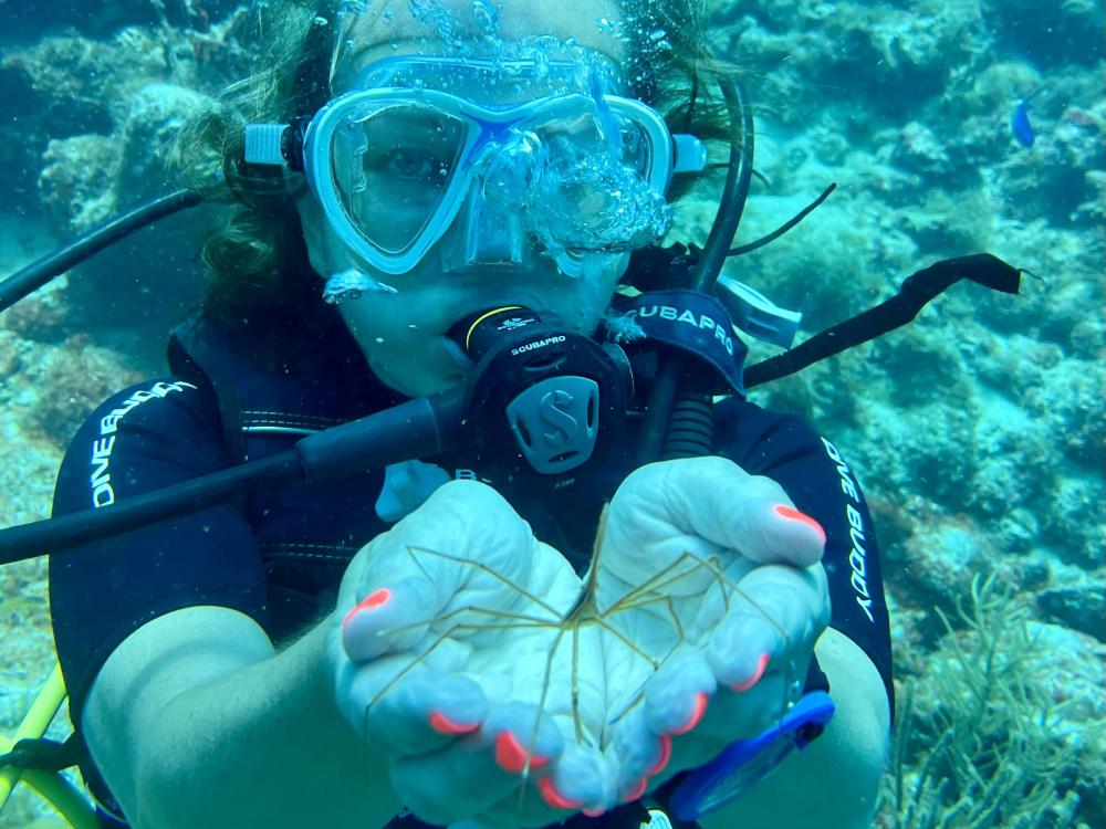 A woman in a scuba mask holds a sea creature during her scuba excursion on the island of Anguilla