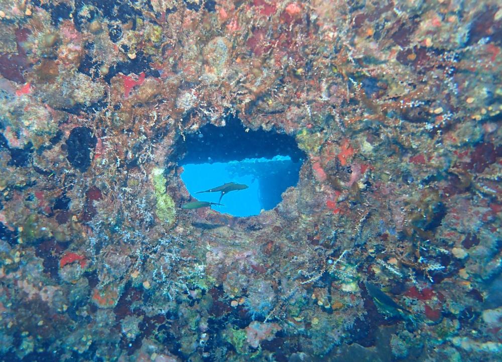 Wrecks 